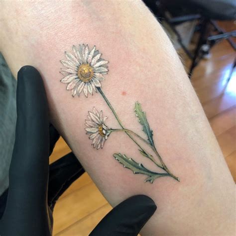 daisy tatoo